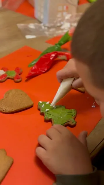 Kit de decorat turtă dulce